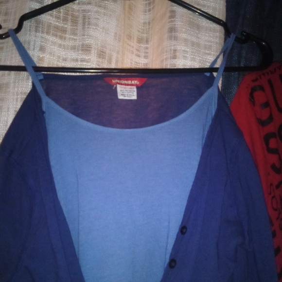 Light and dark blue pretty cat with a built in Pink House - Picture 2 of 3